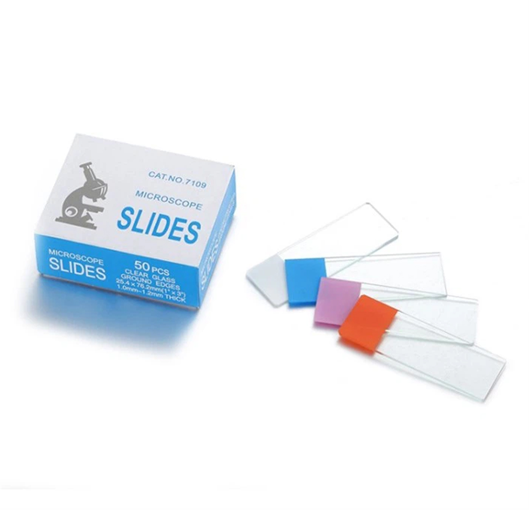 Slide Specimen available in online  pharmacy qatar, doha 